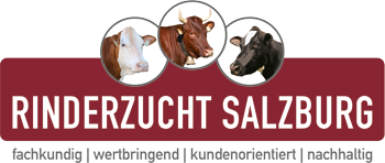 Rinderzucht Salzburg